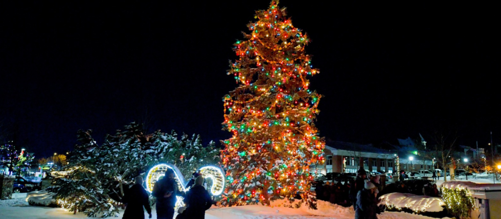 Celebration of Lights Christmas Tree