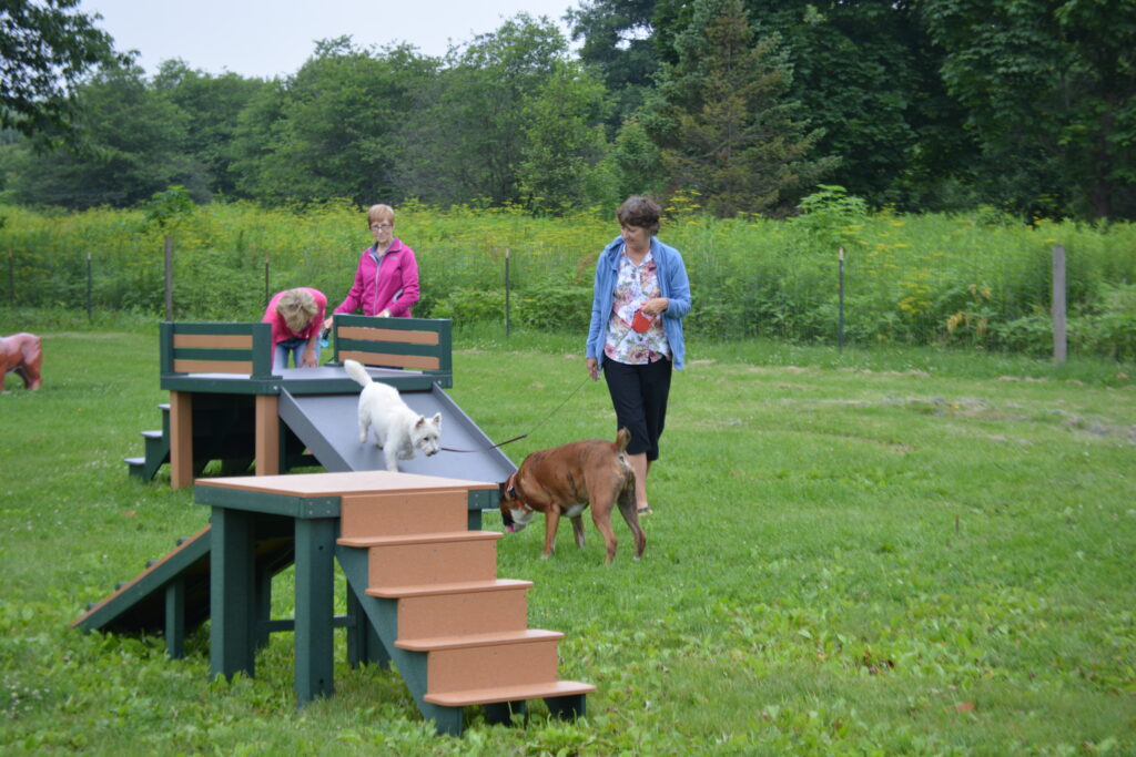 Dog agility equipment at the Bark Park dog park