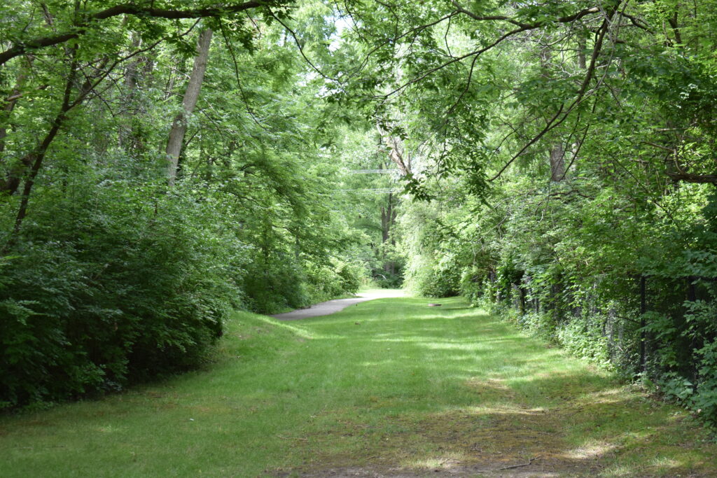 Fox Trail Park nature walking path.