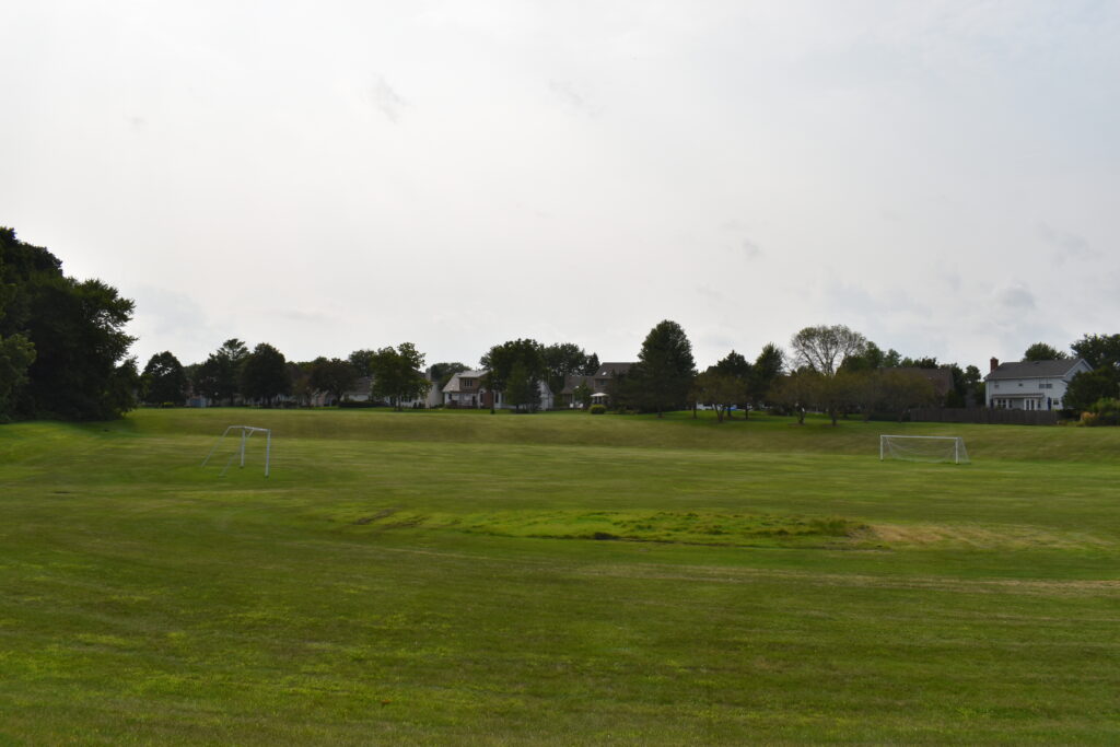 Millview Park open grassy space for free play.