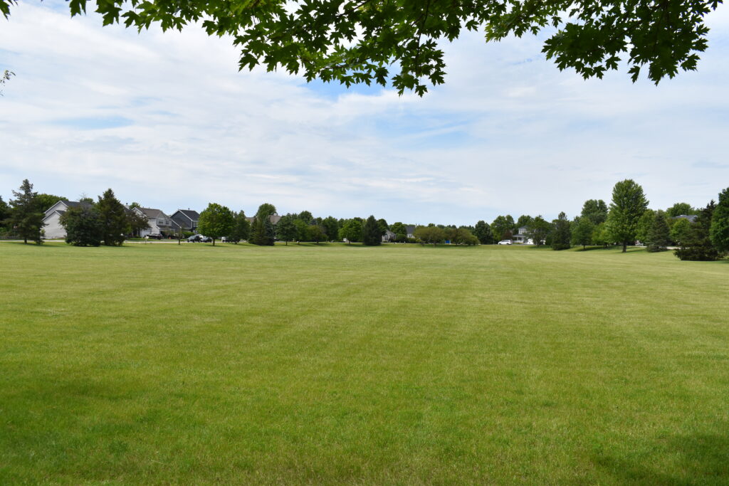 Somerset Park open grassy space.
