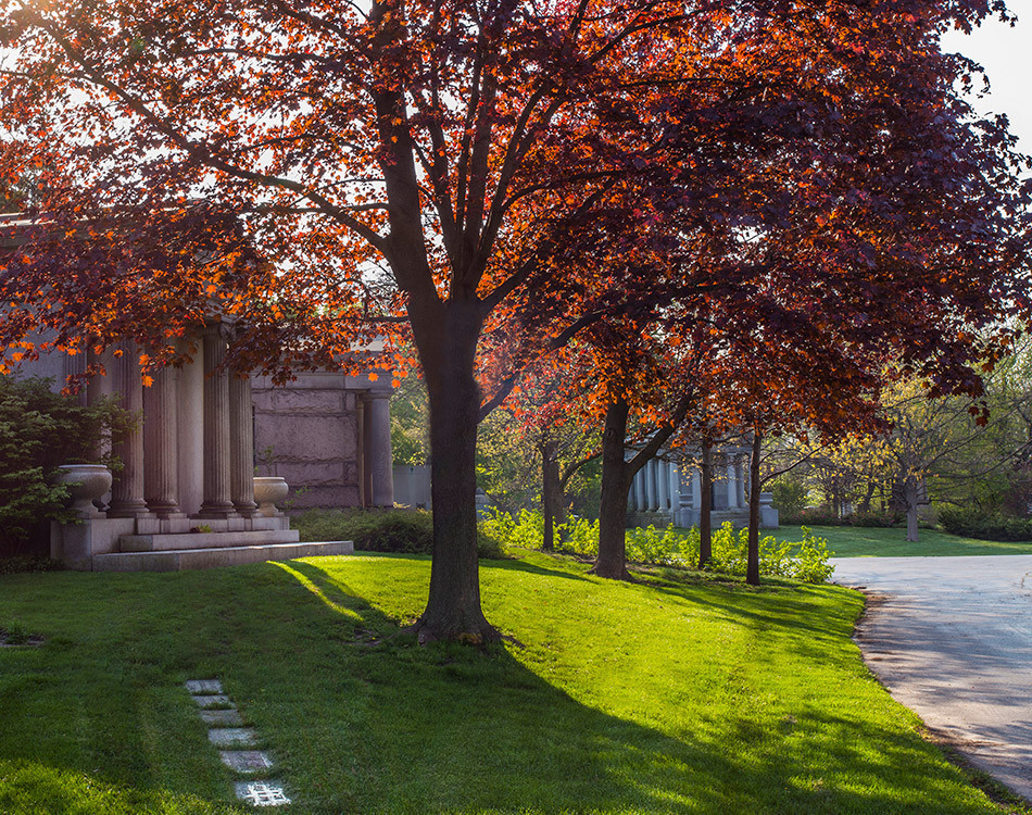 Graceland Cemetery in Chicago boasts beautiful landscaping among the monuments