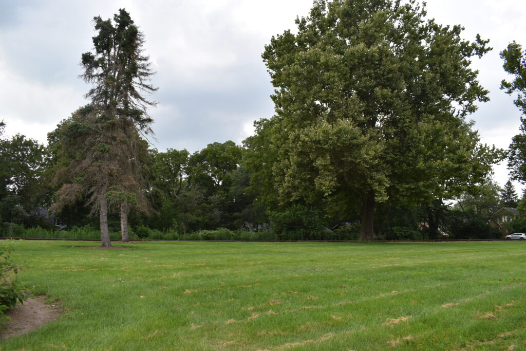 Van Buren Park showing open grassy space.