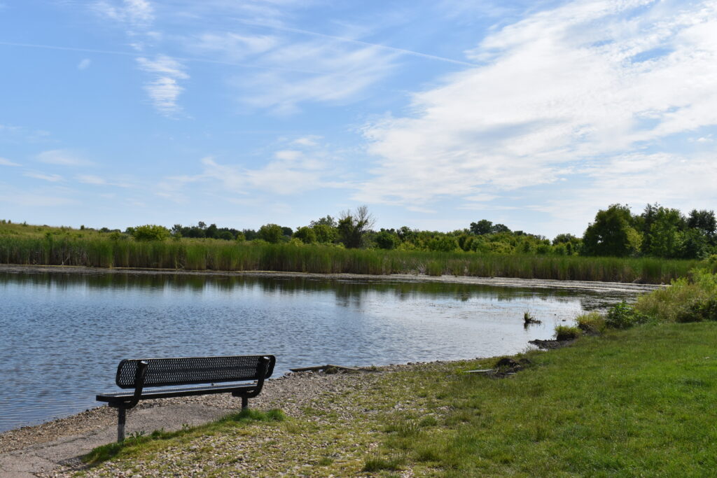 West Main Bark Park open space showing bench and water for a place to fish.