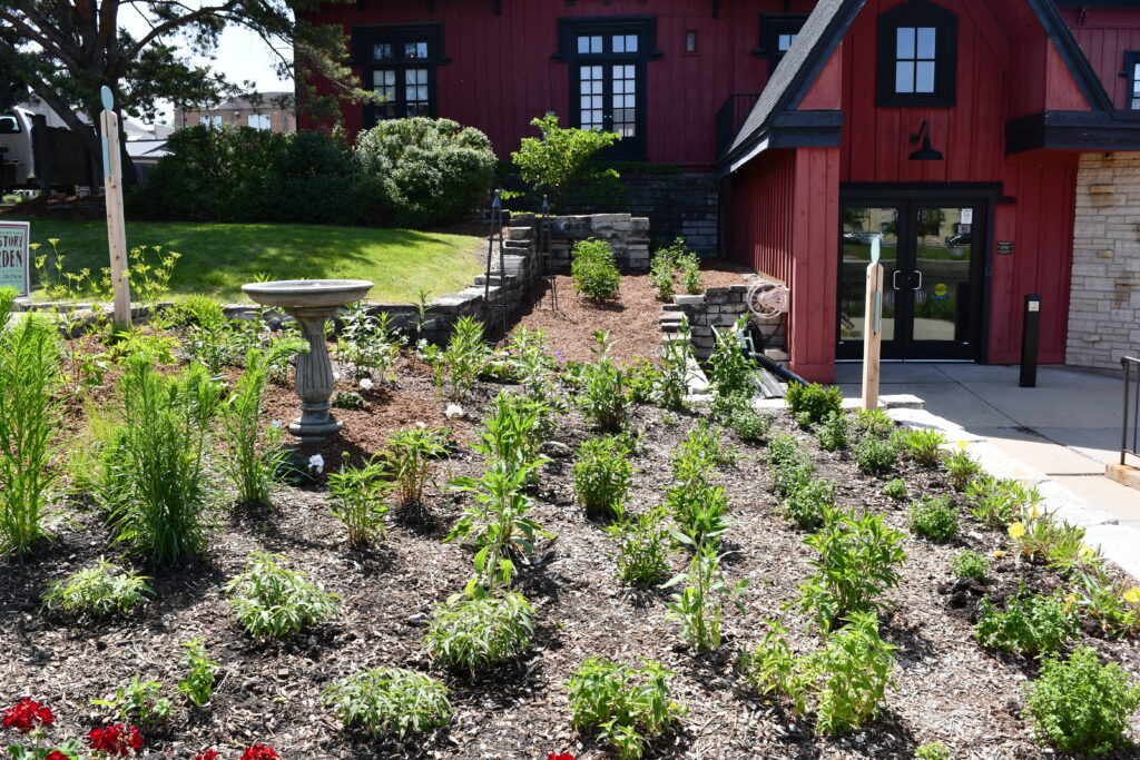 Plants in Depot History Garden
