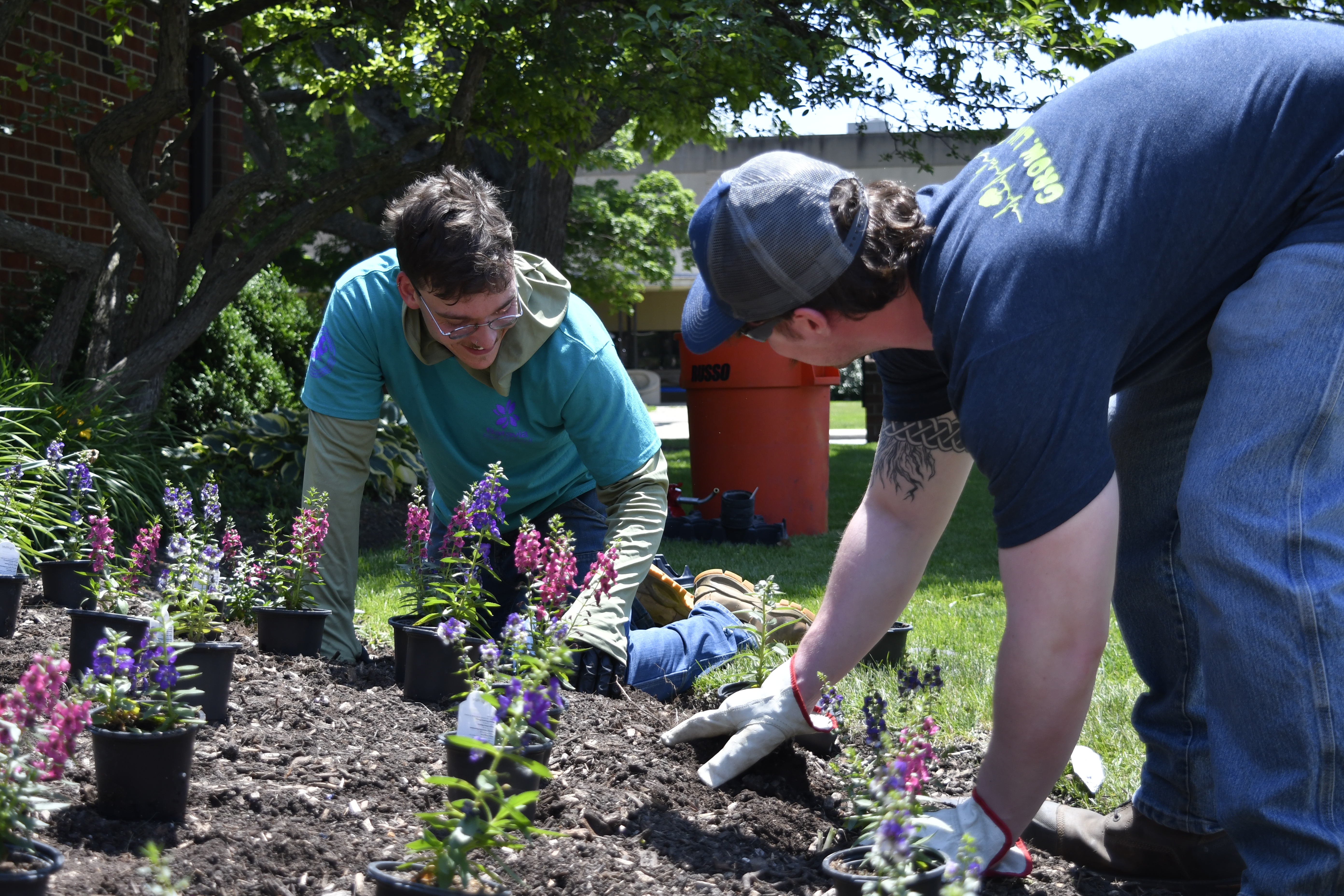 Parks crew planting annuals