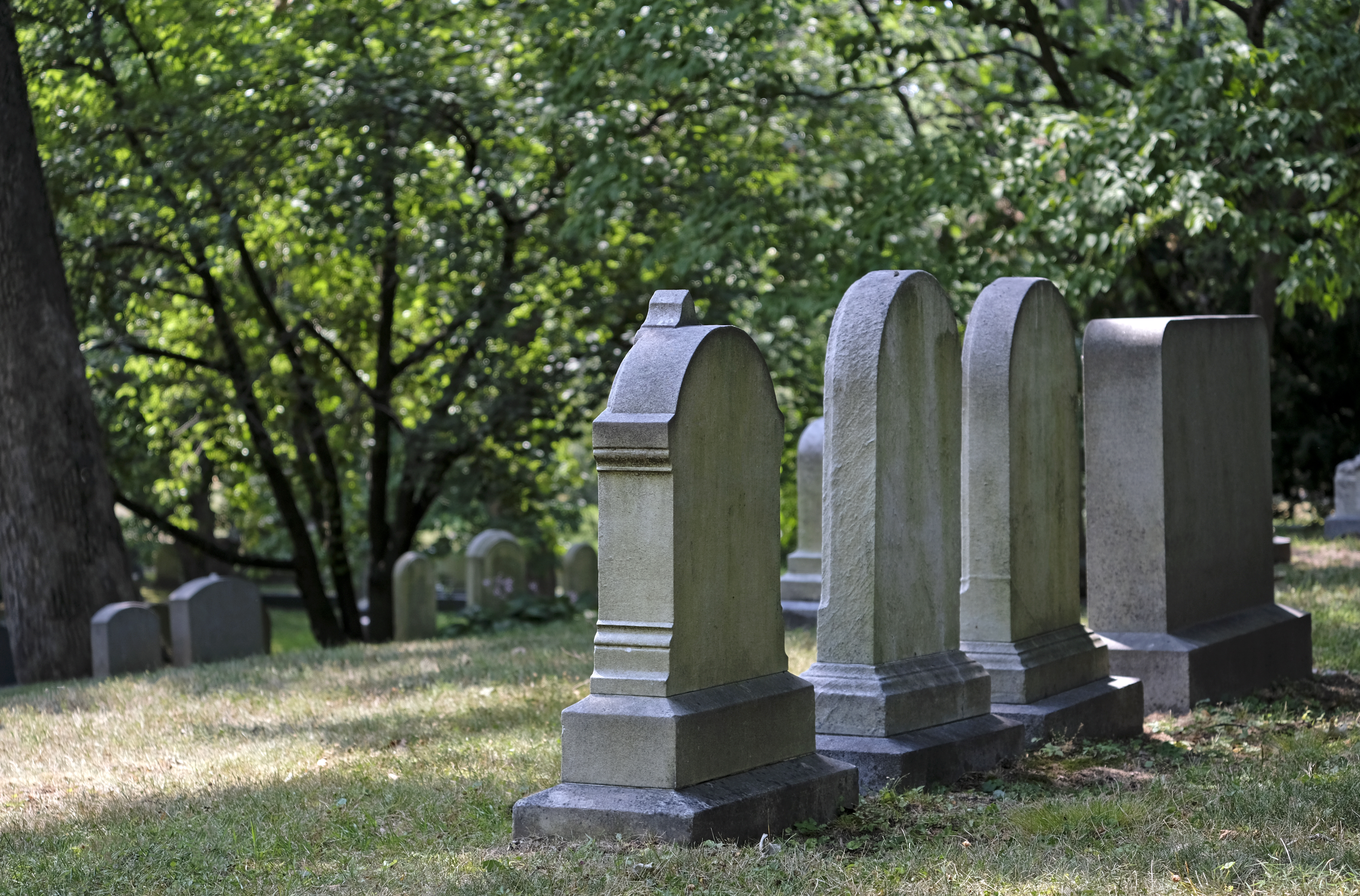 Graves in Cemetery